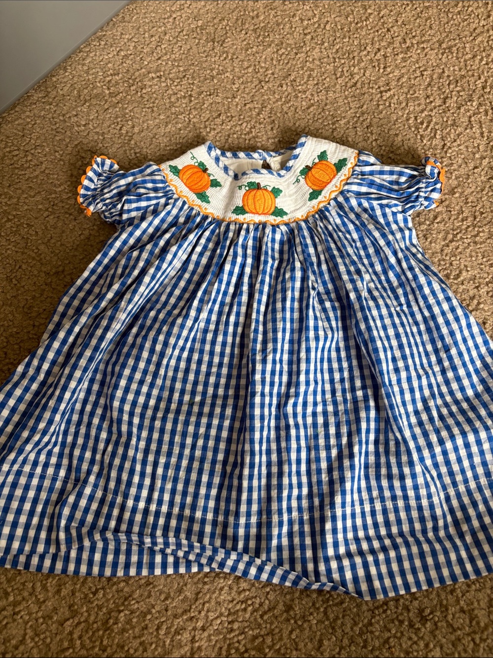 B67 Lil Cactus 12-18 Blue Gingham Pumpkin Smocked Kids Dress